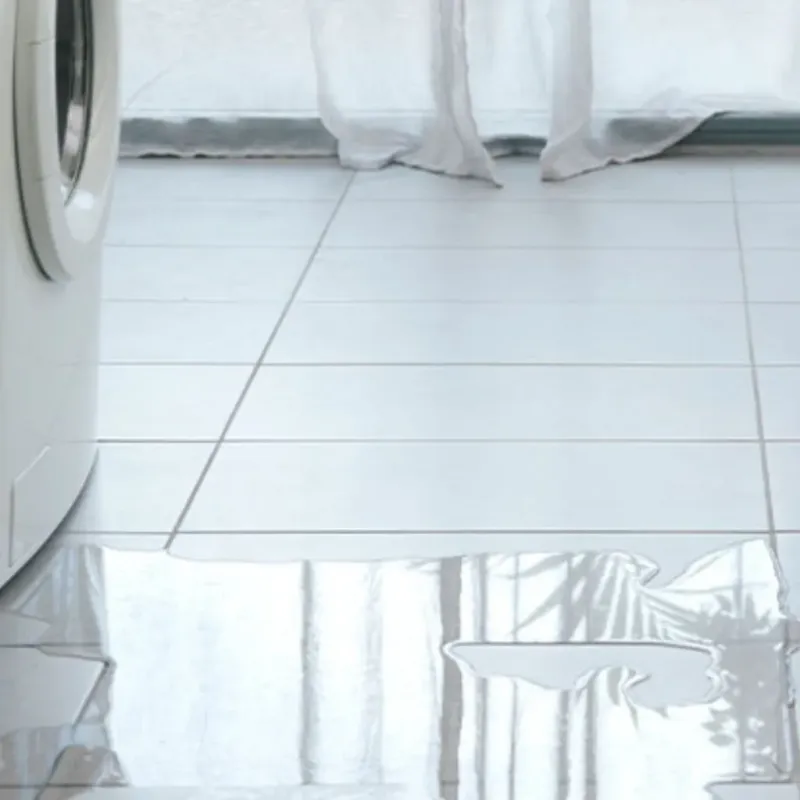 Appliance Leak Cleanup in Naples, FL
